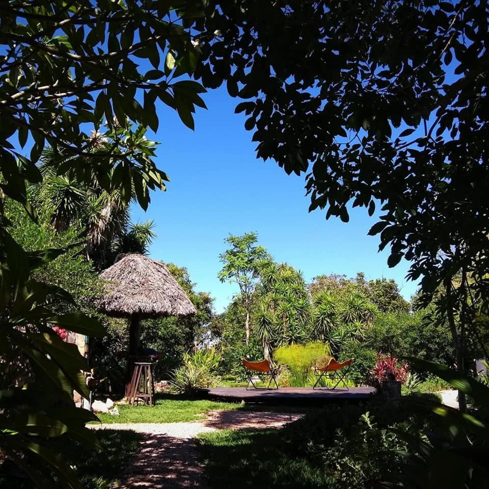 Pousada Paralelo 14 Alto Paraíso de Goiás المظهر الخارجي الصورة